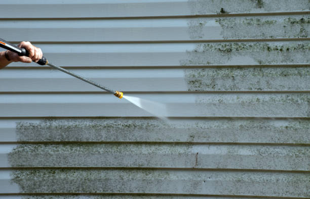 Professional Pressure Washing in Kingsley, MI